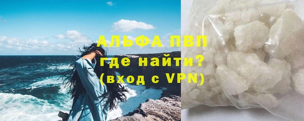 ГАЛЛЮЦИНОГЕННЫЕ ГРИБЫ Осинники