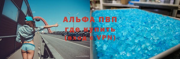 ГАЛЛЮЦИНОГЕННЫЕ ГРИБЫ Осинники
