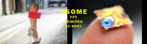 ГАЛЛЮЦИНОГЕННЫЕ ГРИБЫ Осинники