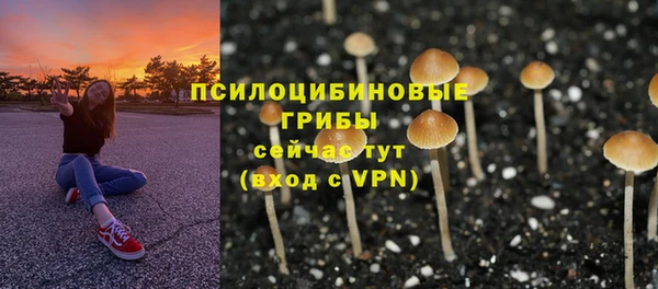 бошки Осташков