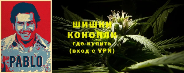 бошки Осташков
