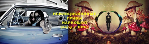 mix Гусиноозёрск