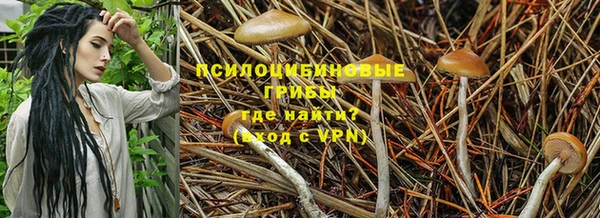 бошки Осташков