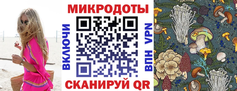 купить наркотики цена  Алдан  Псилоцибиновые грибы GOLDEN TEACHER 